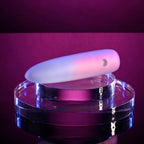 Evolved PARADISE BULLET - Pink/Purple 10.2 cm USB Rechargeable Bullet