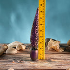 Gender X INTO THE DEEP - Purple 21.7 cm USB Rechargeable Tentacle Fantasy Massage Wand