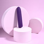 Playboy Pleasure ONE & ONLY - Purple 12 cm USB Rechargeable Bullet