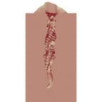 XKIN PinUp Girls - Bettie Blowkiss - Tan 12 cm Vagina Stroker